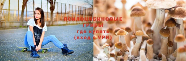 кокаин Алексеевка